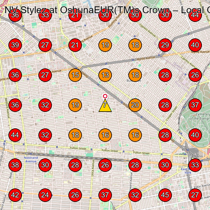 NV Stylez at OshunaEUR(TM)s Crown GeoGrid visibility map for Beauty Salon in Brooklyn